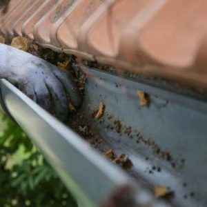 Protect Your Sidewalks from Wear and Tear with Professional Repair