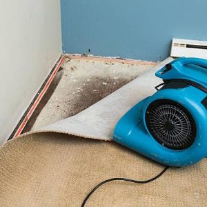 Why Immediate Water Damage Restoration Can Save You Thousands